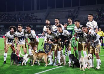 Liguilla