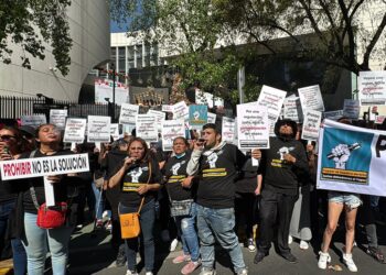 Demandan frenar la prohibición de vapeadores; señalan que regular su venta es la opción, no prohibirlos.