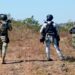 Elementos del Ejército y de la Guardia Nacional desactivan 15 artefactos explosivos caseros en Buenavista Tomatlán, Michoacán