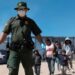 migrantes
