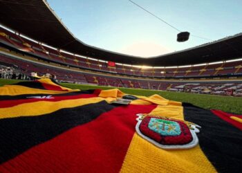 Leones Negros