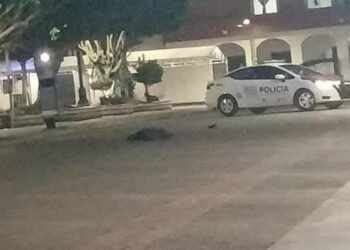 Ejecutan a dos sujetos en Taquería en el municipio de Ocozocoautla, Chiapas.