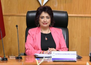 Presidenta del IECM, Patricia Avendaño, informa que se solicitó presupuesto para la elección judicial en al capital