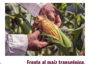 El diputado Ricardo Monreal expone por qué la prohibición al maíz transgénico