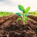 Biodiversidad bajo riesgo por el calentamiento global.