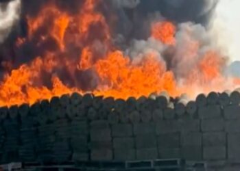 Droga incinerada en 2024 por Marina y FGR