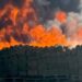 Droga incinerada en 2024 por Marina y FGR