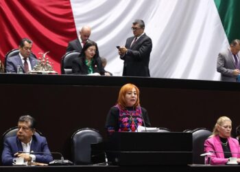 Rosario Piedra Ibarra. Con Felipe Calderón, más violaciones a derechos humanos.