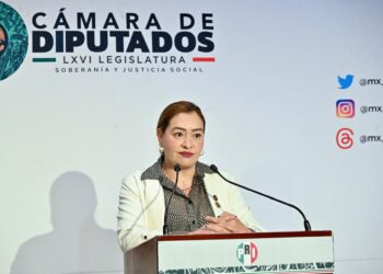Diputada señala que sector salud lejano al de Dinamaraca