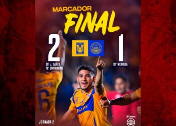 Tigres