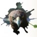 Día Nacional del Águila Real