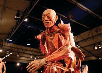 “Our Body: El universo dentro” | AMEXI/FOTO: Cortesía