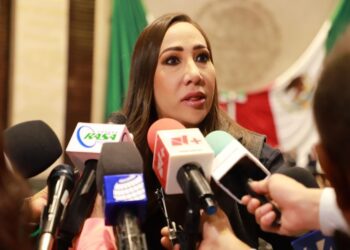 Noemí Luna, vicecoordinadora de los diputados panistas, censura la exclusión de la Suprema Corte.