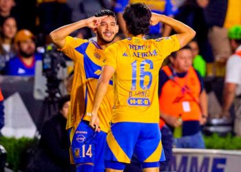 Tigres