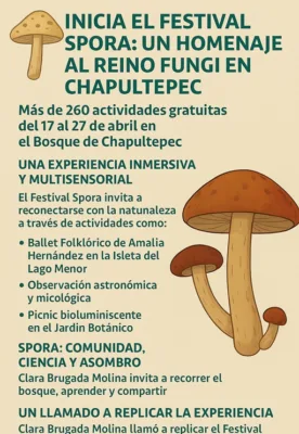 Festival Spora Infografía.