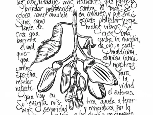 Dulce Chacón inaugura en Brooklyn muestra de dibujo, explora la conexión espiritual con el bosque