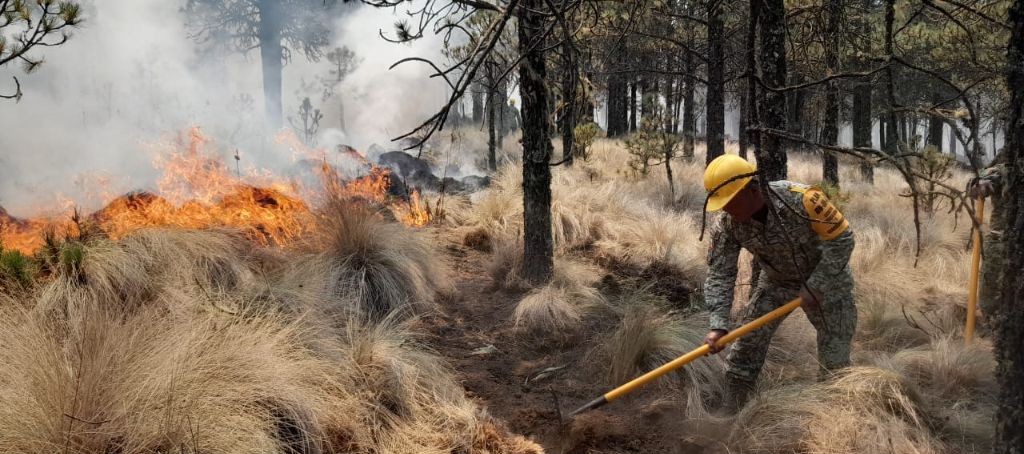 Incendios forestales en Veracruz