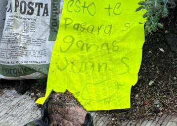 Cabeza de animal. Denuncian amenazas contra candidatos y representantes panistas en Veracruz.