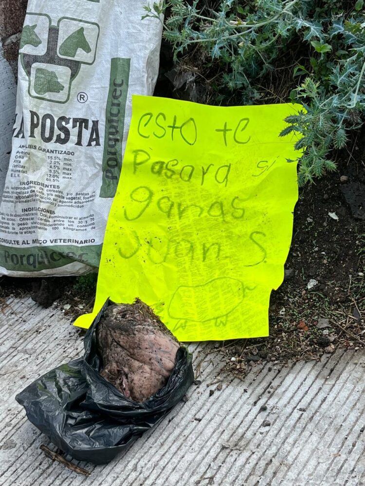 Cabeza de animal. Denuncian amenazas contra candidatos y representantes panistas en Veracruz.