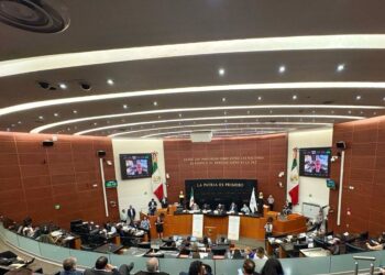 PRI en Senado rechazó la llamada “Ley Censura” y no la avalará