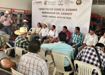 Descartan cuarentenas y sacrificios por gusano barrenador en Chiapas.
