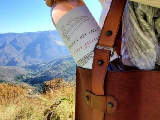 Celebra a mamá con vino y naturaleza en Nayarit