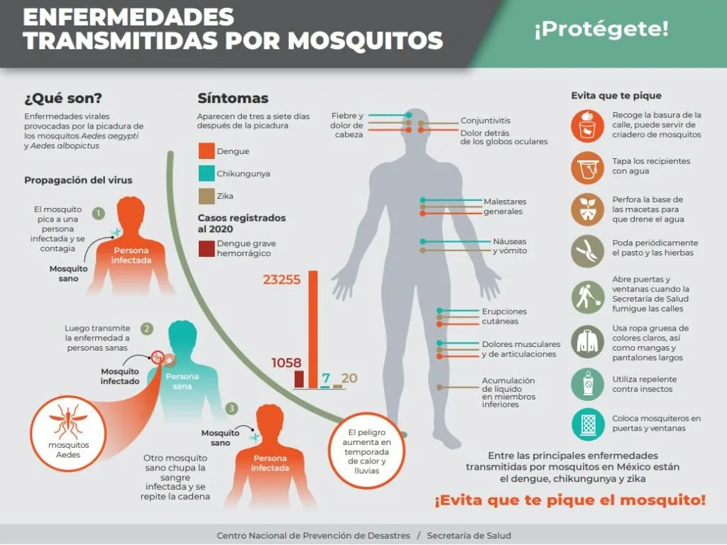 Enfermedades transmitidas por mosquitos.