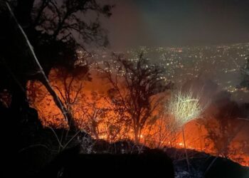 Michoacán pone en marcha sistema satelital Guardián Forestal