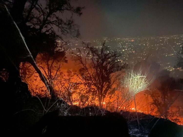 Michoacán pone en marcha sistema satelital Guardián Forestal
