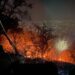 Michoacán pone en marcha sistema satelital Guardián Forestal