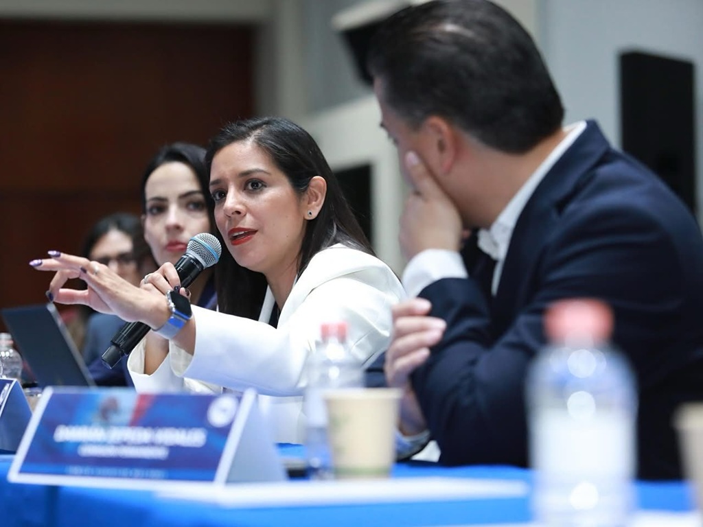 Luisa Gutiérrez, dirigente del PAN capitalino.