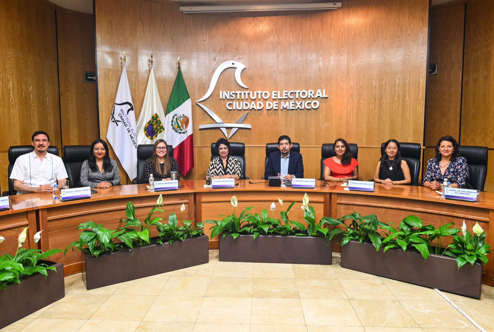 Sistema Conóceles para consultar información de candidatos al PJ