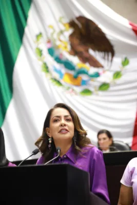 diputada federal de Morena, Mariana Benítez Tiburcio propone diversas adiciones al Código Penal Federal, como sería prisión de uno a seis años para quien aceche.