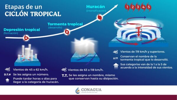 El coordinador general del SMN, Fabián Vázquez Romaña puntualiza que, en la cuenca del Pacífico, donde inició la temporada de huracanes desde el 15 mayo, se prevé el desarrollo de 16 a 20 ciclones.
