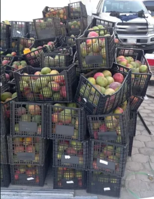 En Baja California aseguran la sustancia presuntamente metanfetamina, que venía oculta en la estructura de la caja refrigeradora.