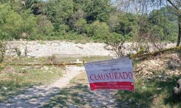 El suelo se ve estéril incapaz de regenerarse.