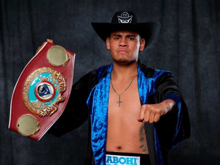 Vaquero Navarrete