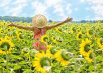 Yellow Day: El día más feliz del año se celebra este 20 de junio