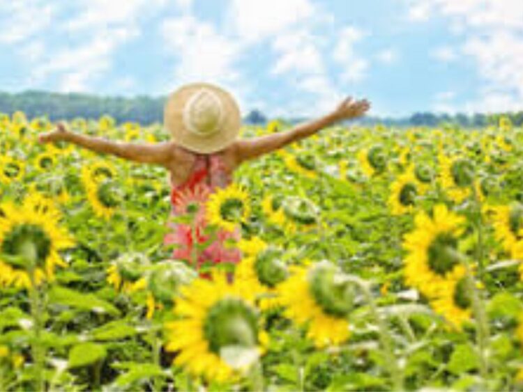 Yellow Day: El día más feliz del año se celebra este 20 de junio