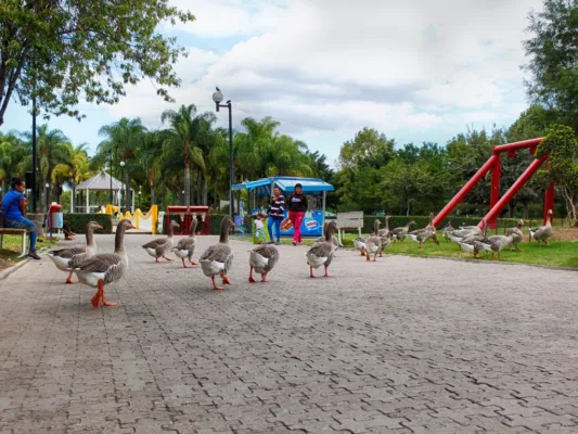 Festival de Verano Vive León 2025: lo que debes saber para pasar unas vacaciones únicas