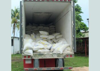 Entre costales de salvado, más de una tonelada de cocaína.