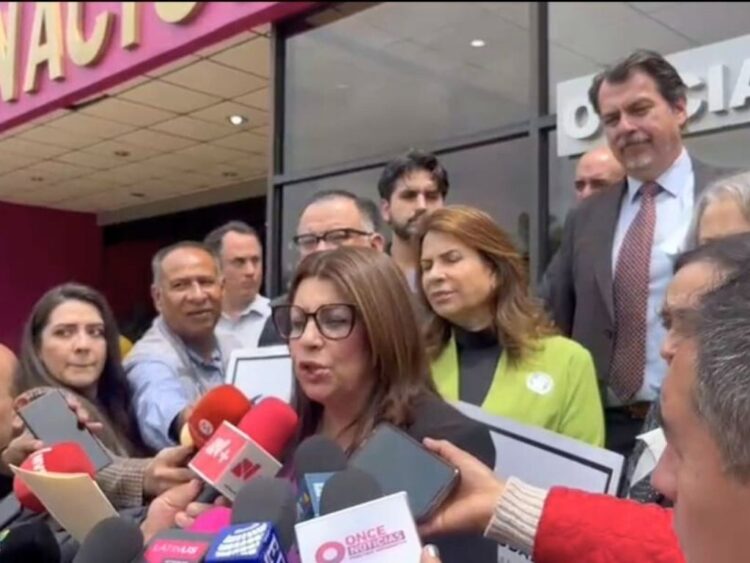 Exigen anular la elección de ministros de la Suprema Corte. Aducen que se violaron principios constitucionales.