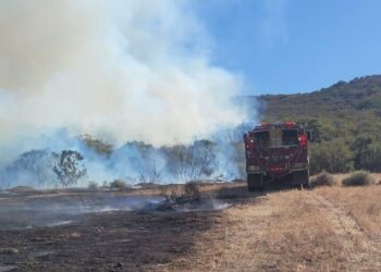 Controlan incendios forestales en Tecate; emiten declaratoria de emergencia estatal