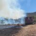 Controlan incendios forestales en Tecate; emiten declaratoria de emergencia estatal