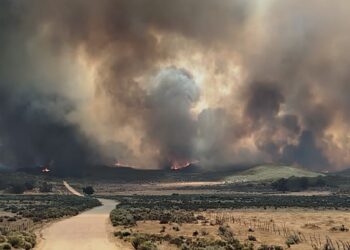 Controlan incendios forestales en Tecate; arrasan cientos de hectáreas