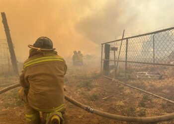 Más de cinco mil hectáreas afectadas por incendios forestales en Tecate, Baja California