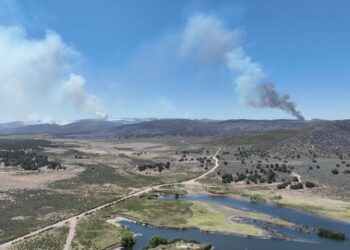 Controlado en 50%, el incendio forestal “Guadalajara 2” en Tecate