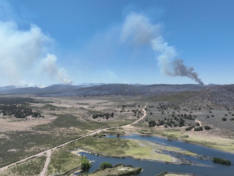 Controlado en 50%, el incendio forestal “Guadalajara 2” en Tecate