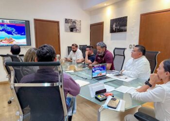 Mesa de Estrategia de Sargazo 2025.