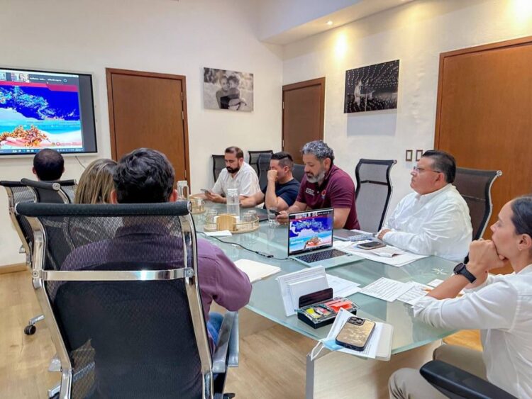 Mesa de Estrategia de Sargazo 2025.